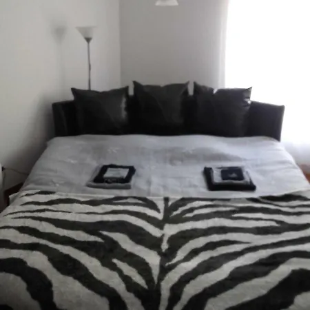 Quartos 里奥-迪莫鲁